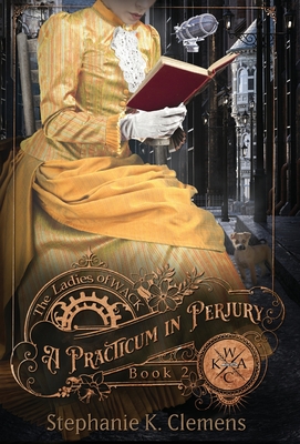 Immagine del venditore per A Practicum in Perjury (Hardback or Cased Book) venduto da BargainBookStores