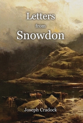 Image du vendeur pour Letters from Snowdon (Hardback or Cased Book) mis en vente par BargainBookStores