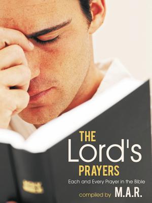 Bild des Verkufers fr The Lord's Prayers: Each and Every Prayer in the Bible (Paperback or Softback) zum Verkauf von BargainBookStores