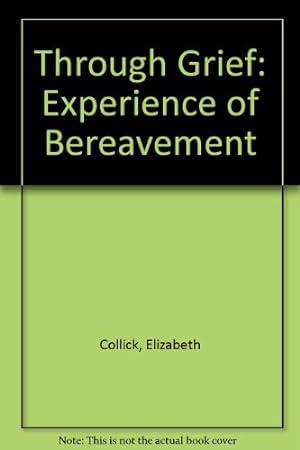 Imagen del vendedor de Through Grief: Experience of Bereavement a la venta por WeBuyBooks