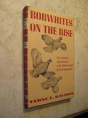Seller image for Bobwhites on the Rise for sale by Craftsbury Antiquarian Books