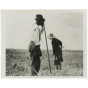 Cotton Sharecroppers. Greene County, Georgia. They produce little, sell little, buy little