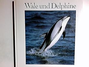 Seller image for Wale und Delphine. [Vic Cox. Aus dem Amerikan. bers. von Siegfried Schmitz] for sale by Antiquariat Buchhandel Daniel Viertel