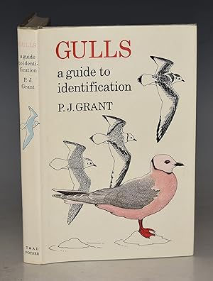 Image du vendeur pour Gulls. A Guide to Identification. Illustrated by the author. mis en vente par PROCTOR / THE ANTIQUE MAP & BOOKSHOP