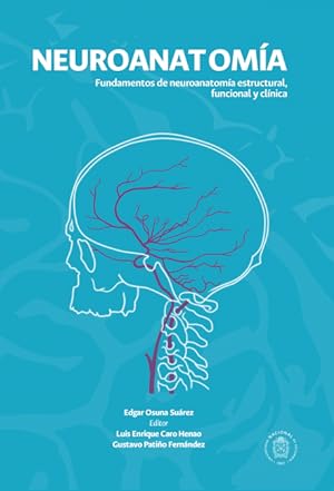 Seller image for Neuroanatoma for sale by Podibooks