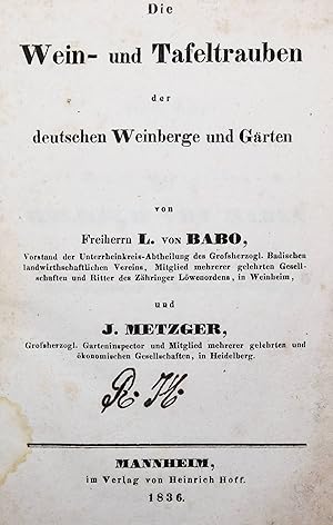 Die Wein- und Tafeltrauben der deutschen Weinberge und Gärten.