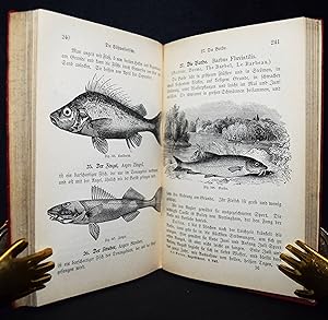 Taschenbuch der Angelfischerei.