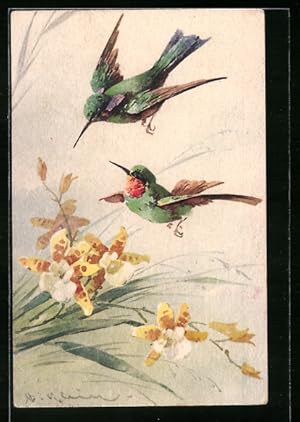 Bild des Verkufers fr Knstler-Ansichtskarte Catharina Klein: Kolibris und gelbe Blumen zum Verkauf von Bartko-Reher