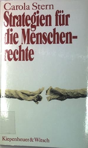 Bild des Verkufers fr Strategien fr die Menschenrechte. zum Verkauf von books4less (Versandantiquariat Petra Gros GmbH & Co. KG)