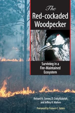 Seller image for Red-cockaded Woodpecker : Surviving in a Fire-Maintained Ecosystem for sale by GreatBookPrices