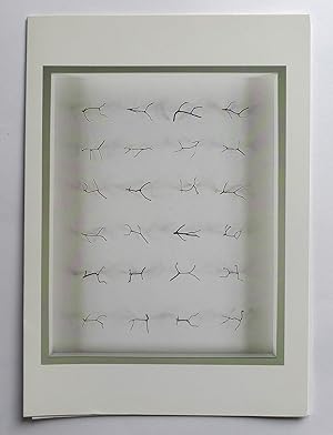 Immagine del venditore per Chris Kenny. Recent Work. England & Co. London 6 March-25 March 2000. venduto da Roe and Moore