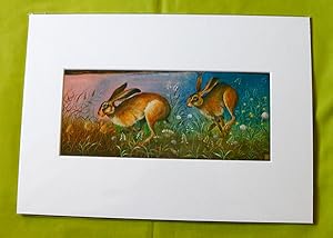 Hares in the Meadow