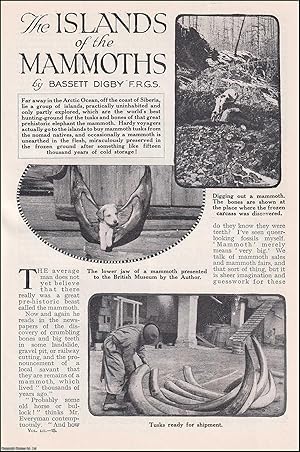 Bild des Verkufers fr The Islands of the Elephant Mammoths, in the Arctic Ocean, off the Coast of Siberia : Hunting-Ground for the Tusks & Bones. An uncommon original article from the Wide World Magazine, 1923. zum Verkauf von Cosmo Books