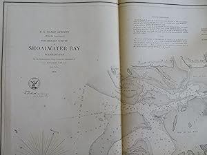 Shoalwater Bay Washington State 1856 U.S. Coastal Survey nautical chart