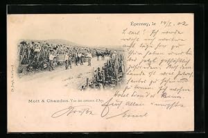 Carte postale Epernay, Moet, Chandon, Vue des coteaux d`Ay