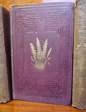 Bild des Verkufers fr Ferns: British and Exotic. Vol. I-VIII zum Verkauf von St. Jrgen Antiquariat