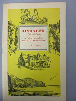 Tintagel in Fact & Fiction - An Anthology