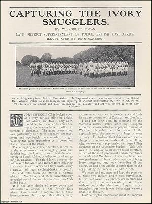 Seller image for Capturing the Elephant Ivory Smugglers, in British East Africa. An uncommon original article from the Wide World Magazine, 1912. for sale by Cosmo Books