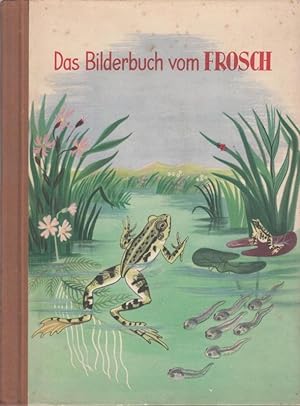 Das Bilderbuch vom Frosch. Die Entwicklung des Frosches in vierzehn Bildern.