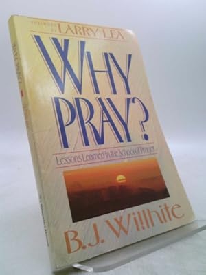 Imagen del vendedor de Why Pray a la venta por ThriftBooksVintage