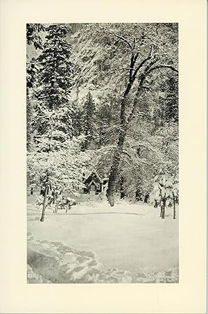 Seller image for Yosemite and the big trees catalogue 78 for sale by Currey, L.W. Inc. ABAA/ILAB