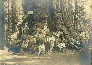 Bild des Verkufers fr [Yosemite; Mariposa Grove] Four men in front of the Grizzly Giant [title supplied]. Gelatin silver print zum Verkauf von Currey, L.W. Inc. ABAA/ILAB
