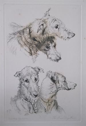 Landseer's Etchings