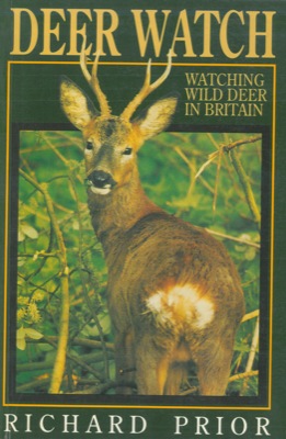 Bild des Verkufers fr Deer watch. zum Verkauf von Libreria Piani