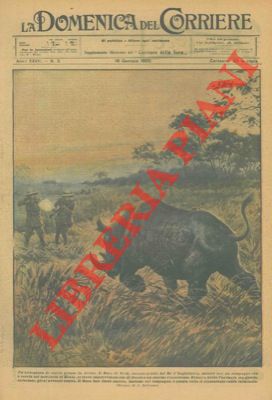 Un'avventura di caccia grossa in Africa: il Duca di York caricato da un enorme rinoceronte.