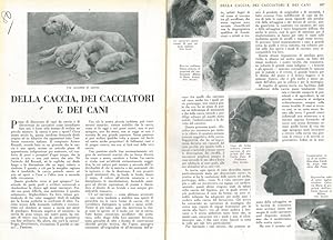 Della caccia dei cacciatori e dei cani.