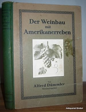 Der Weinbau mit Amerikanerreben. Ergebnisse 19jähriger staatlicher Versuche.