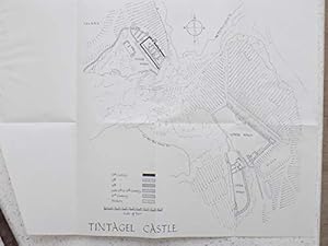 Bild des Verkufers fr Tintagel Castle, Cornwall : Official Guide zum Verkauf von WeBuyBooks