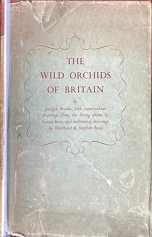 Immagine del venditore per The wild orchids of Britain venduto da Acanthophyllum Books