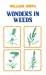Seller image for Wonders In Weeds [Soft Cover ] for sale by booksXpress