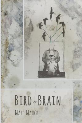 Seller image for Bird Brain (Paperback or Softback) for sale by BargainBookStores