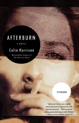 Immagine del venditore per Afterburn (Paperback or Softback) venduto da BargainBookStores