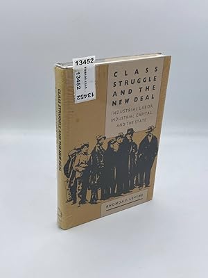 Immagine del venditore per Class Struggle and the New Deal Industrial Labor, Industrial Capital, and the State venduto da True Oak Books