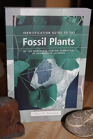 Identification Guide to the Fossil Plants of the Horseshoe Canyon Formation of Drumheller, Alberta