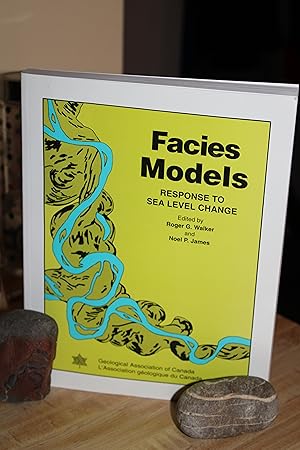 Facies Models