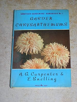 Garden Chrysanthemums