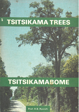 Tsitsikama Trees.