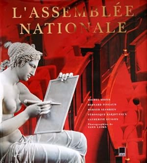 Seller image for L'assemble Nationale - Une certaine ide de l'instution parlementaire for sale by Ammareal