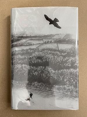 Seller image for A Kestrel for a Knave for sale by Fahrenheit's Books