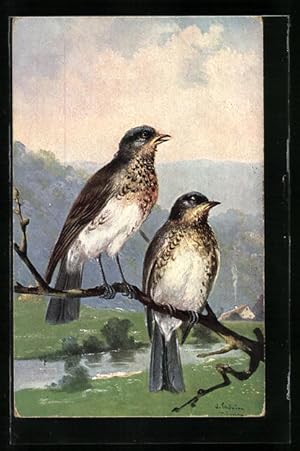 Imagen del vendedor de Knstler-Ansichtskarte Alfred Schnian: Zwei Singvgel auf einem Zweig a la venta por Bartko-Reher