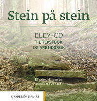 Seller image for Stein p stein; Elev-cd til tekstbok og arbeidsbok. Level B1 for sale by Ruslania