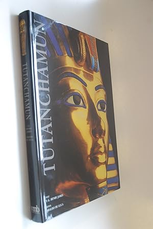 Bild des Verkufers fr Tutanchamun. Der ewige Glanz des jungen Pharaos zum Verkauf von Antiquariat Biebusch