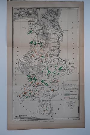 Antique Map-DUCHY OF OLDENBURG-FORESTS-GERMANY-Geogr. Gesellschaft-1891