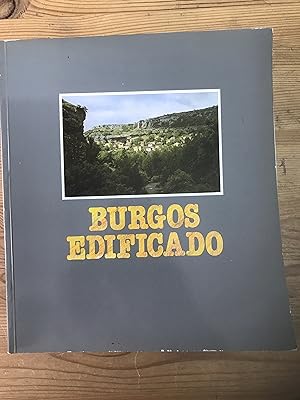 Imagen del vendedor de Burgos edificado a la venta por Vrtigo Libros