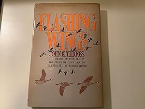Flashing Wings - Signed and inscribed