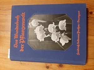 Seller image for Das Wunderbuch der Pflanzenwelt. Die schnste Einfhrung in das grne Wunder der Natur for sale by Gebrauchtbcherlogistik  H.J. Lauterbach